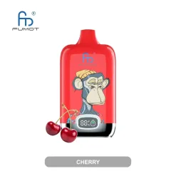 Fumot Digital Box 12000 (9)