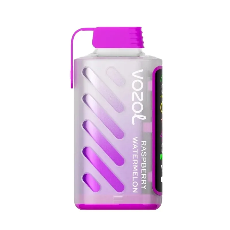 Vozol Gear Power 20000 (4)
