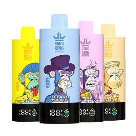 Bang LEADER 85000 (1)