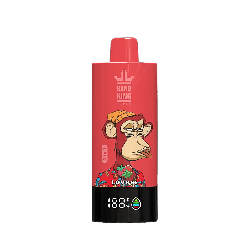 Bang LEADER 85000 (8)