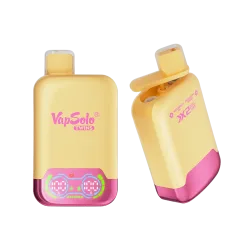 Vapsolo Twins 20000 (7)