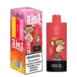 Bang LEADER 85000 (2)