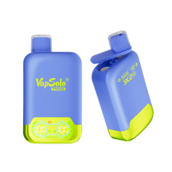 Vapsolo Twins 20000 (2)