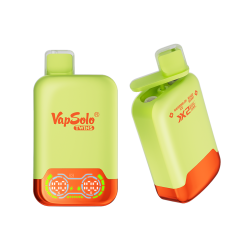 Vapsolo Twins 20000 (6)