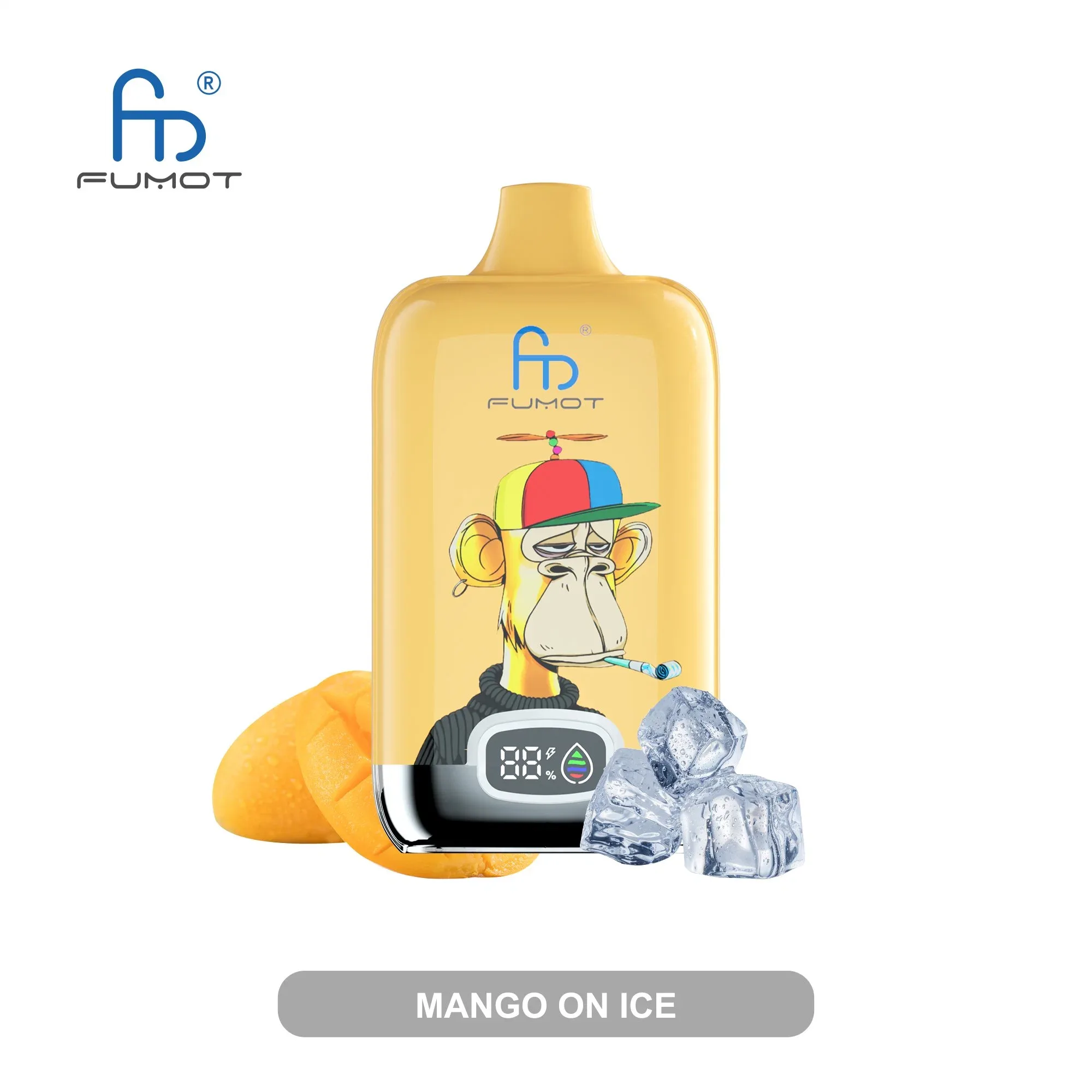 Fumot Digital Box 12000 (10)