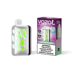 vozol rave 40000 (13)