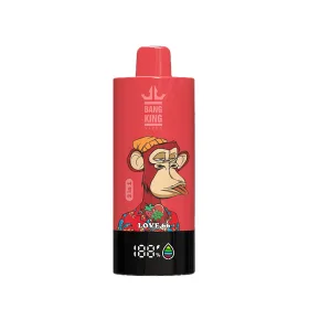 Bang LEADER 85000 (8)