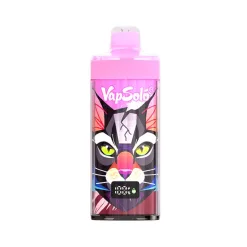 Vapsolo King Pro 40000 (2)