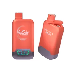 Vapsolo Twins 50000 (4)