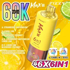 Fizzy Max III 60000 (5)